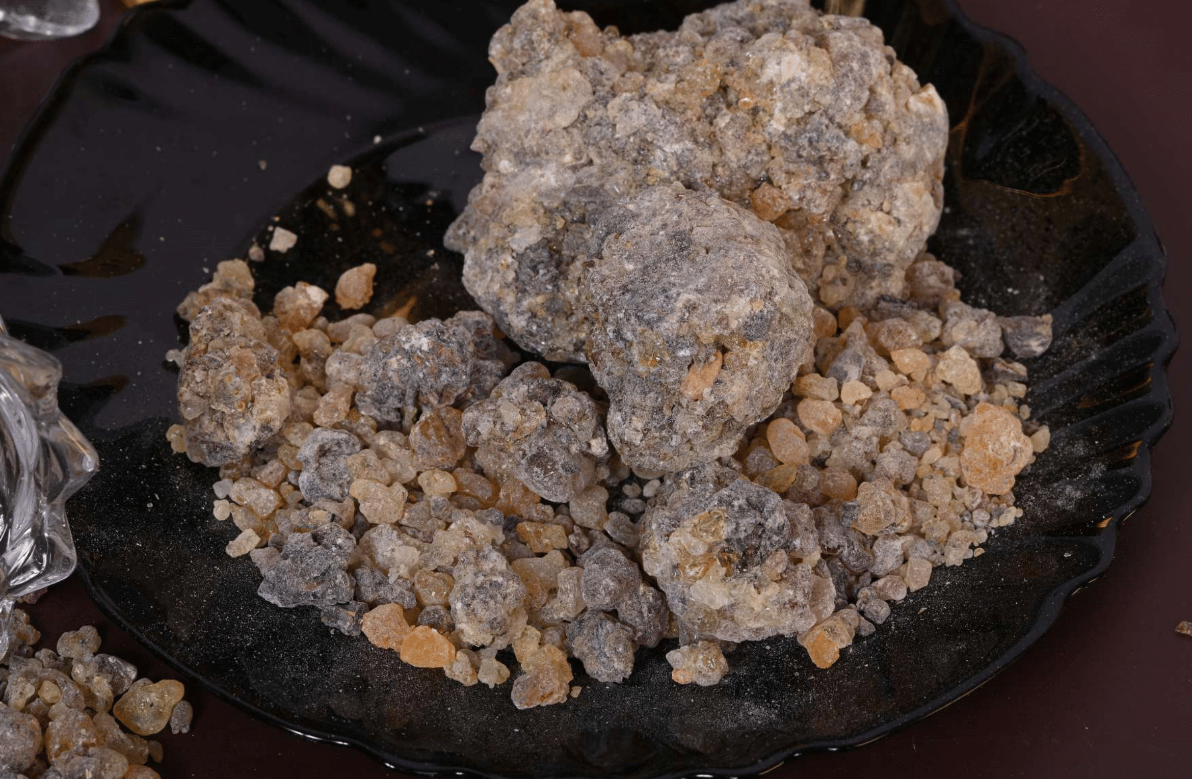 Boswellia Bullata - Image 3