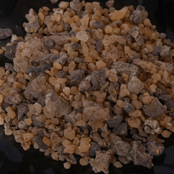 Premium Frankincense Boswellia Dioscoridis