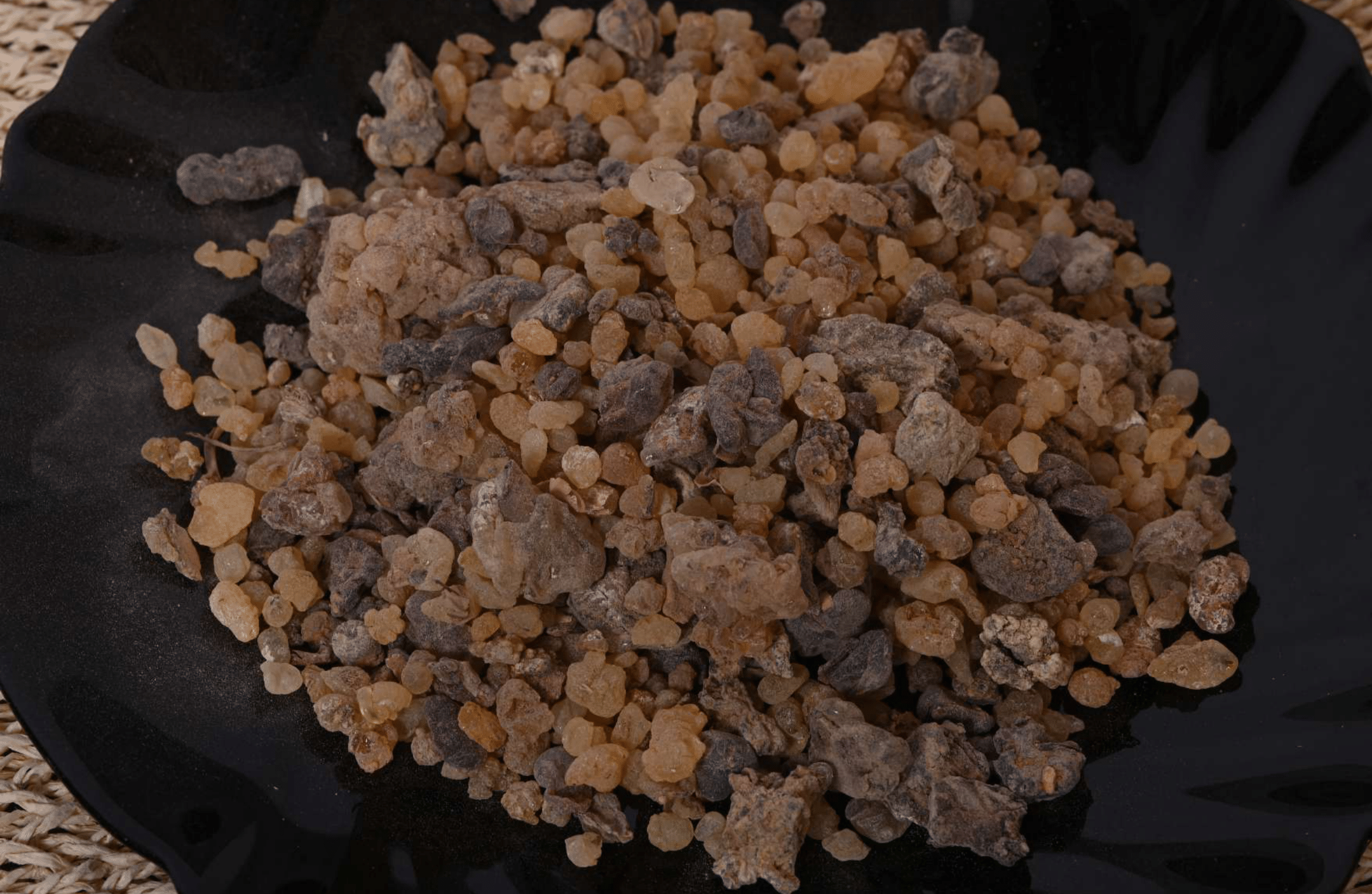 Boswellia Popoviana - Image 2