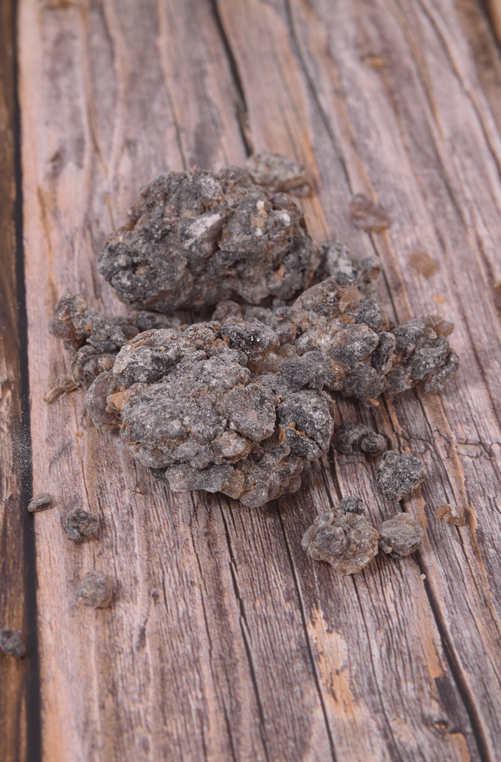 Boswellia Oropedionis - Image 2