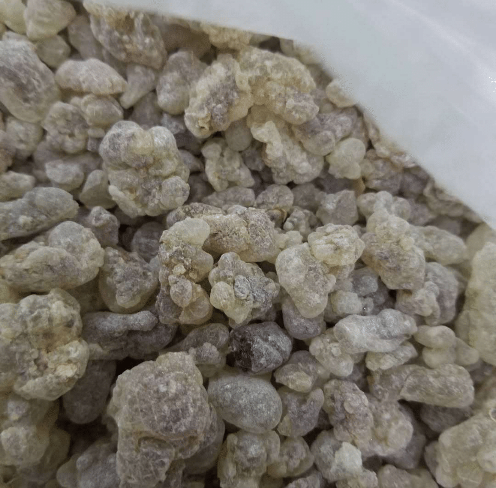 Premium Royal Boswellia Sacra - Image 3
