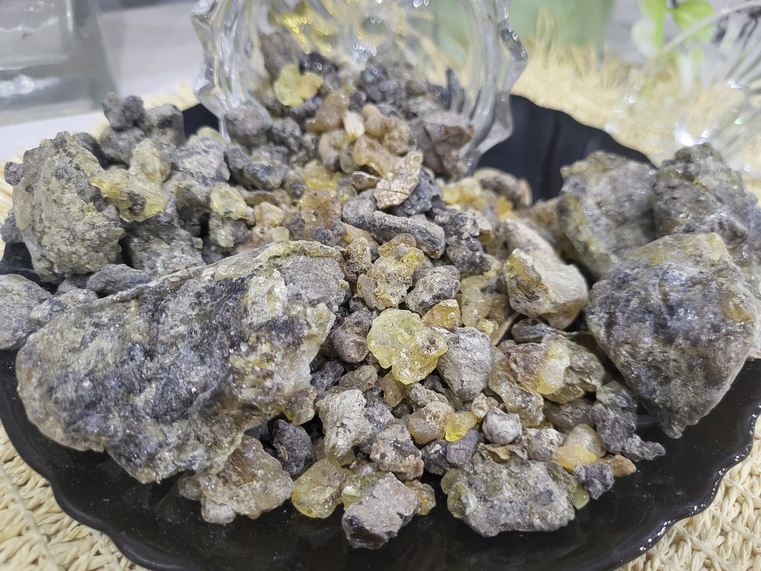 Boswellia Popoviana – Premium Wild Incense Resin