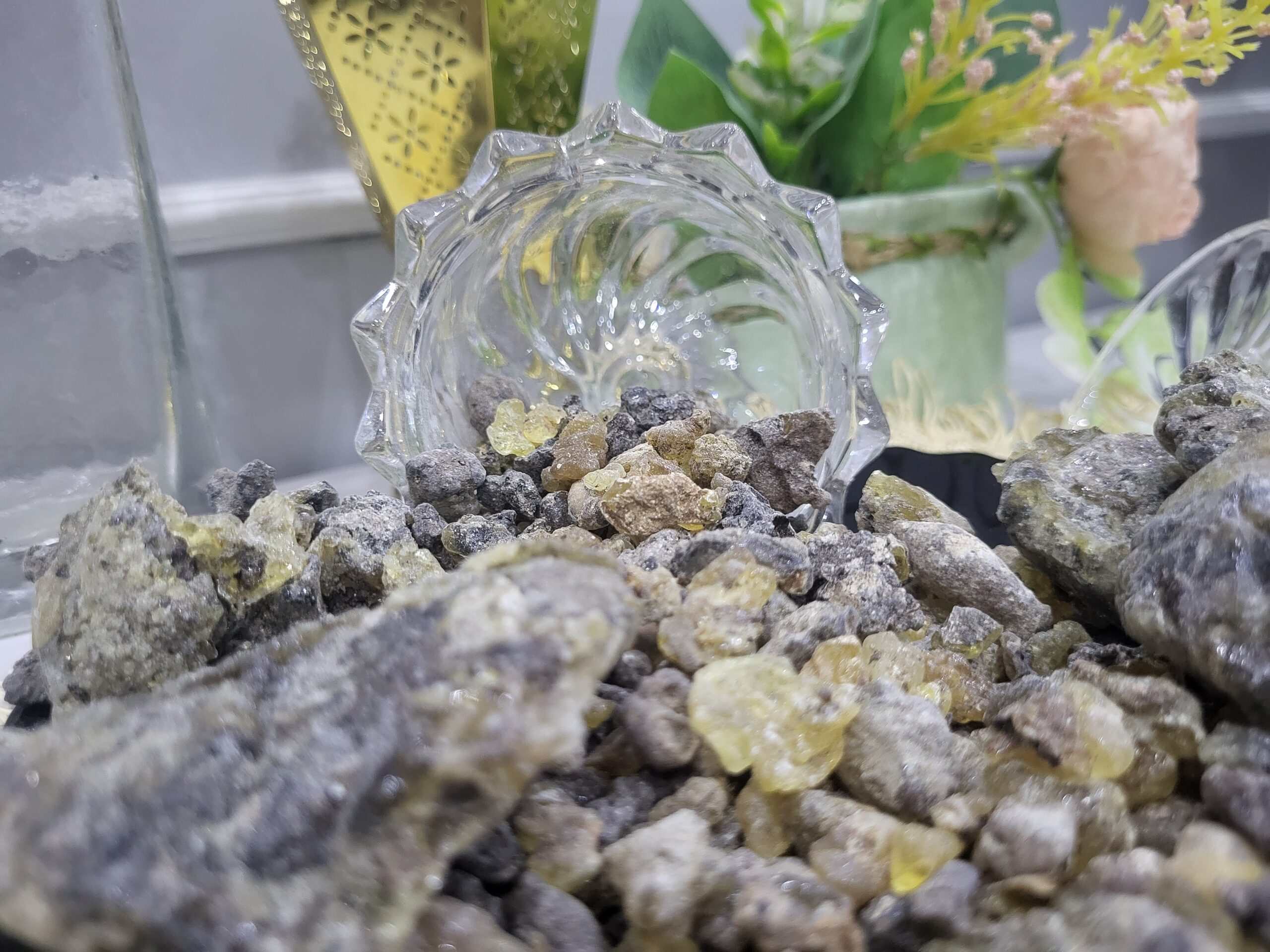 Boswellia Popoviana – Premium Wild Incense Resin